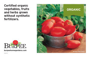 Bench Card - Organic