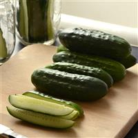 Fresh Pickles Cucumber
