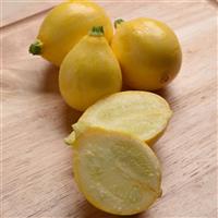 Lemon Drop Squash