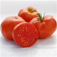 Brandywine Red Potato Leaf Tomato