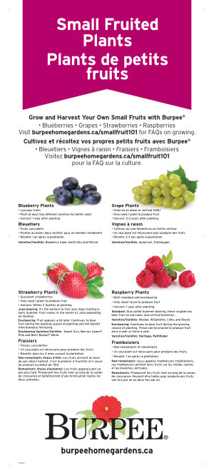 Poster - Small Fruit FAQ