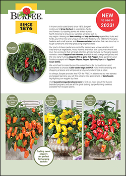 2023 Burpee Vegetable Catalog