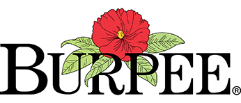 Burpee Brand Home page