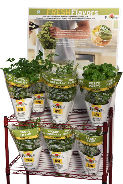 fresh flavors herbs on display with distinctive packaging
